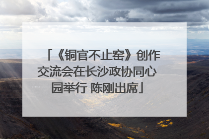 《铜官不止窑》创作交流会在长沙政协同心园举行 陈刚出席