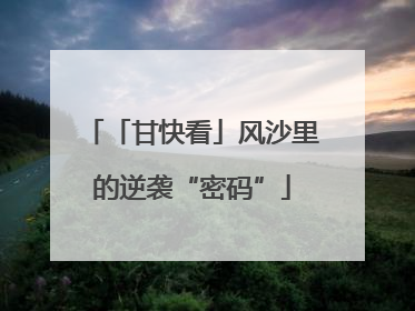 「甘快看」风沙里的逆袭“密码”