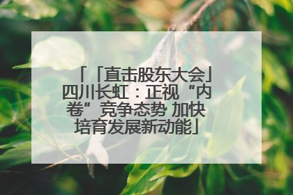「直击股东大会」四川长虹：正视“内卷”竞争态势 加快培育发展新动能
