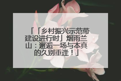 「乡村振兴示范带建设进行时」烟雨兰山：邂逅一场与本真的久别重逢！