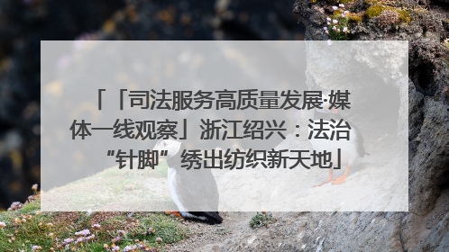 「司法服务高质量发展·媒体一线观察」浙江绍兴：法治“针脚”绣出纺织新天地