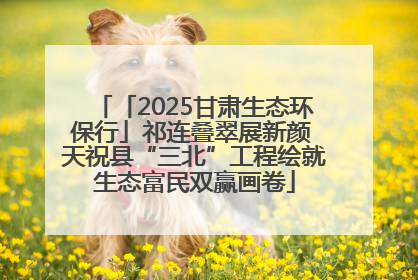 「2025甘肃生态环保行」祁连叠翠展新颜 天祝县“三北”工程绘就生态富民双赢画卷