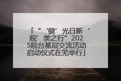 “‘徽’光日新‘皖’美之行”2025皖台基层交流活动启动仪式在芜举行