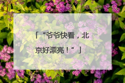 “爷爷快看，北京好漂亮！”