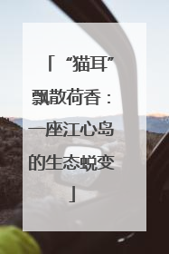 “猫耳”飘散荷香：一座江心岛的生态蜕变