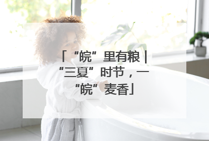 “皖”里有粮｜“三夏”时节，一“皖”麦香