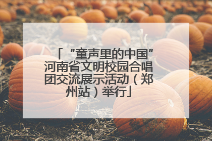 “童声里的中国”河南省文明校园合唱团交流展示活动（郑州站）举行