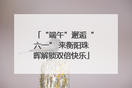 “端午”邂逅“六一” 来衡阳珠晖解锁双倍快乐