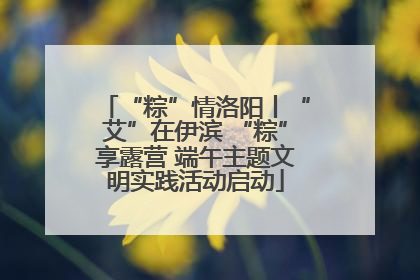 “粽”情洛阳丨“艾”在伊滨 “粽”享露营 端午主题文明实践活动启动