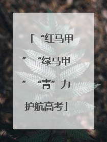 “红马甲”“绿马甲”“青”力护航高考