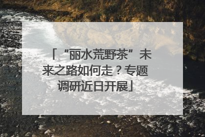 “丽水荒野茶”未来之路如何走？专题调研近日开展