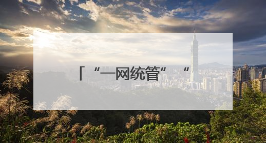 “一网统管”“一网通办”，看数字化转型下的“山东方案”