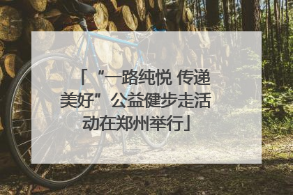 “一路纯悦 传递美好”公益健步走活动在郑州举行