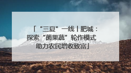 “三夏”一线丨肥城：探索“菌果蔬”轮作模式 助力农民增收致富