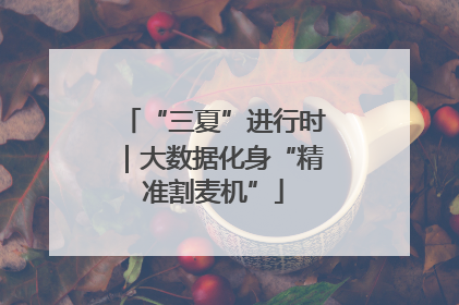 “三夏”进行时｜大数据化身“精准割麦机”