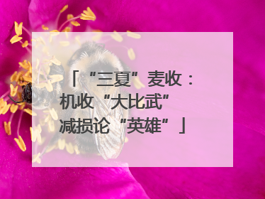 “三夏”麦收：机收“大比武” 减损论“英雄”
