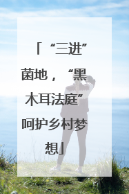 “三进”菌地，“黑木耳法庭”呵护乡村梦想