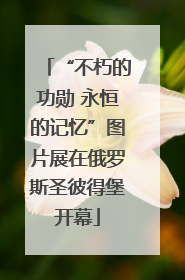 “不朽的功勋 永恒的记忆”图片展在俄罗斯圣彼得堡开幕