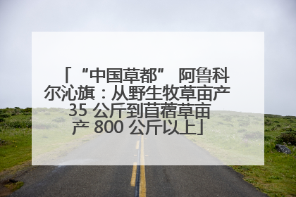 “中国草都” 阿鲁科尔沁旗：从野生牧草亩产 35 公斤到苜蓿草亩产 800 公斤以上
