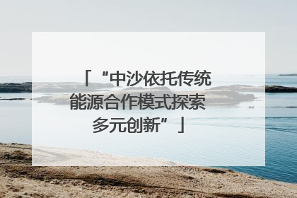 “中沙依托传统能源合作模式探索多元创新”