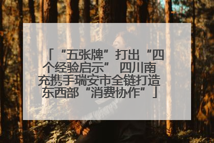 “五张牌”打出“四个经验启示” 四川南充携手瑞安市全链打造东西部“消费协作”