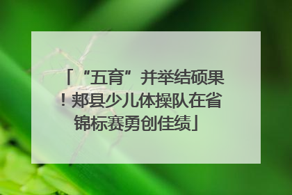 “五育”并举结硕果！郏县少儿体操队在省锦标赛勇创佳绩