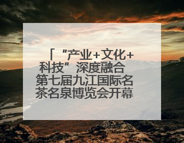 “产业+文化+科技”深度融合 第七届九江国际名茶名泉博览会开幕（组图）