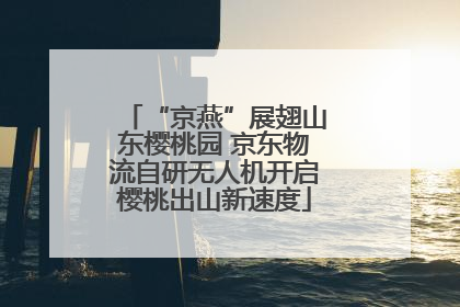 “京燕”展翅山东樱桃园 京东物流自研无人机开启樱桃出山新速度
