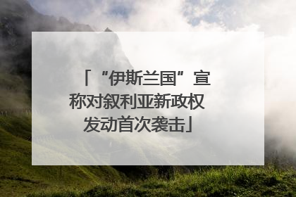 “伊斯兰国”宣称对叙利亚新政权发动首次袭击