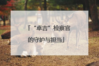 “卓吉”检察官的守护与担当