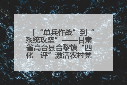 “单兵作战”到“系统攻坚”——甘肃省高台县合黎镇“四化一评”激活农村党员管理新引擎