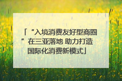 “入境消费友好型商圈”在三亚落地 助力打造国际化消费新模式