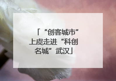 “创客城市”上虞走进“科创名城”武汉