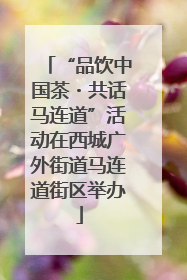 “品饮中国茶・共话马连道”活动在西城广外街道马连道街区举办