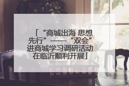 “商城出海 思想先行”——“双会”进商城学习调研活动在临沂顺利开展