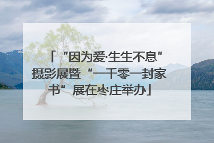 “因为爱·生生不息”摄影展暨“一千零一封家书”展在枣庄举办