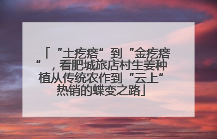 “土疙瘩”到“金疙瘩”，看肥城旅店村生姜种植从传统农作到“云上”热销的蝶变之路