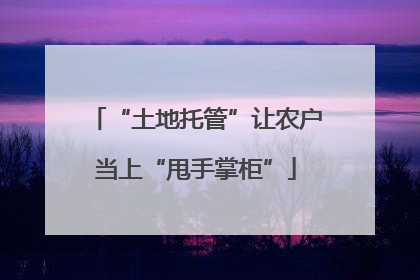 “土地托管”让农户当上“甩手掌柜”