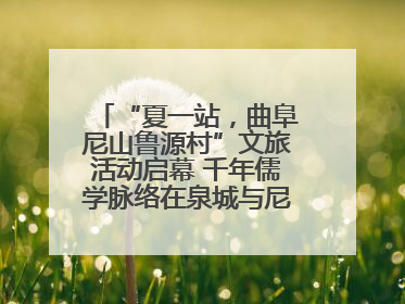 “夏一站，曲阜尼山鲁源村”文旅活动启幕 千年儒学脉络在泉城与尼山间流动