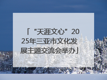 “天涯文心”2025年三亚市文化发展主题交流会举办
