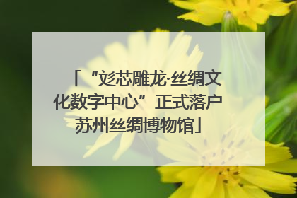 “彣芯雕龙·丝绸文化数字中心”正式落户苏州丝绸博物馆