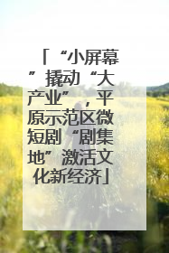 “小屏幕”撬动“大产业”，平原示范区微短剧“剧集地”激活文化新经济