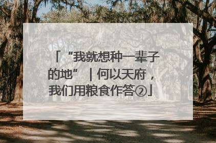 “我就想种一辈子的地”｜何以天府，我们用粮食作答②