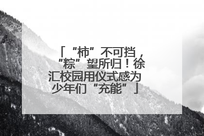“柿”不可挡，“粽”望所归！徐汇校园用仪式感为少年们“充能”
