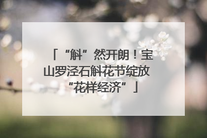 “斛”然开朗！宝山罗泾石斛花节绽放“花样经济”