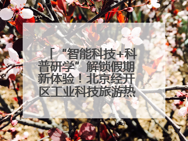 “智能科技+科普研学”解锁假期新体验！北京经开区工业科技旅游热度攀升