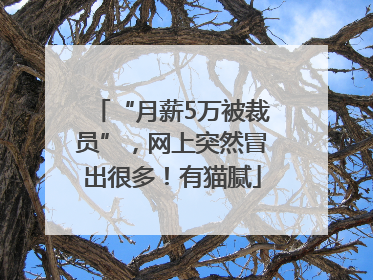 “月薪5万被裁员”，网上突然冒出很多！有猫腻
