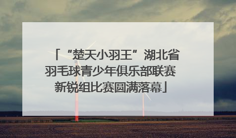 “楚天小羽王”湖北省羽毛球青少年俱乐部联赛新锐组比赛圆满落幕