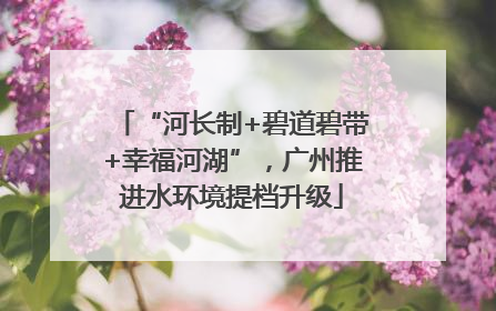 “河长制+碧道碧带+幸福河湖”，广州推进水环境提档升级