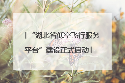 “湖北省低空飞行服务平台”建设正式启动